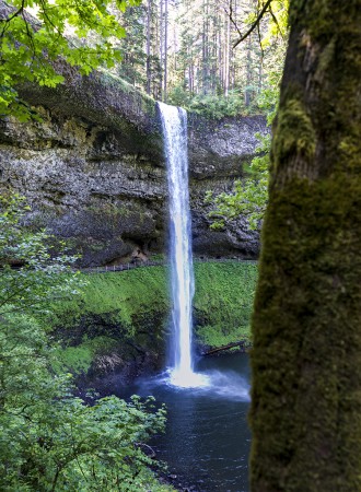 Silver Creek Falls State Park - Click to Interact